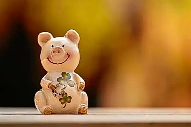 JVSpin промокод 7c8dc2